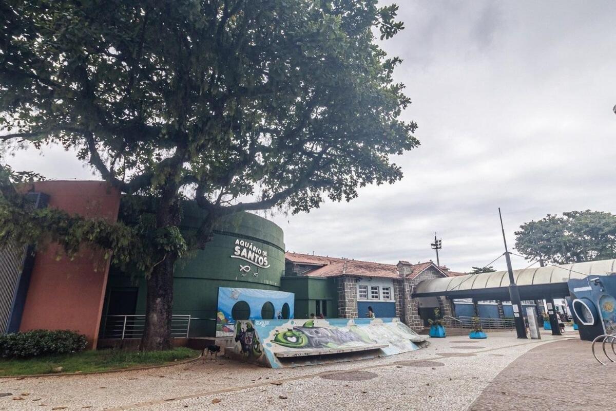 Ap De Frente P/ Aquario E Praia Na Ponta Da Praia *